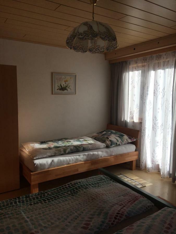 Ferienwohnung Schmiedsipplbad Гозау Екстер'єр фото