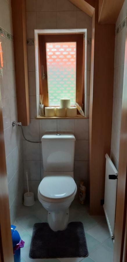 Ferienwohnung Schmiedsipplbad Гозау Екстер'єр фото